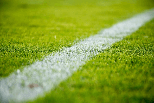 Photographie d'une ligne de terrain de football en herbe